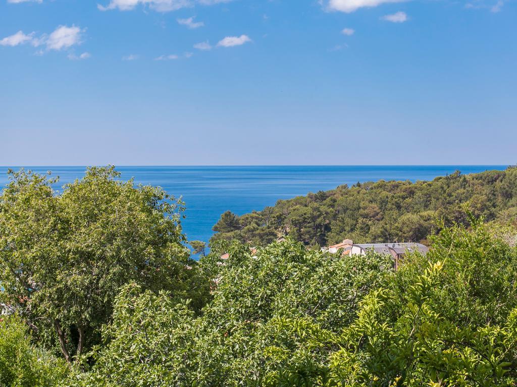Krs Medinski Petrovac